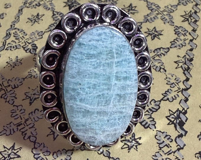 Parrot Shifter "Aegrel" (Eh-grell) Spirit Companion, Spirit Vessel Ring, Tier 2