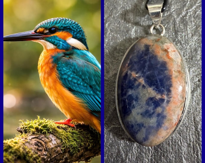 Kingfisher "Misro" Spirit Companion, Spirit Vessel Necklace, Tier 2
