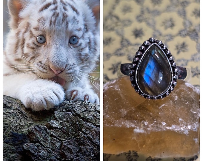 White Tiger Cub "Arvo" Spirit Companion, Spirit Vessel ring, Tier 1