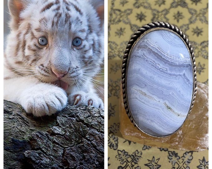 White Tiger Cub "Peltin" Spirit Companion, Spirit Vessel Ring, Tier 1
