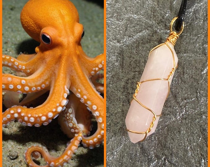 Octopus "Orev" Spirit Companion, Spirit Vessel Necklace, Tier 1