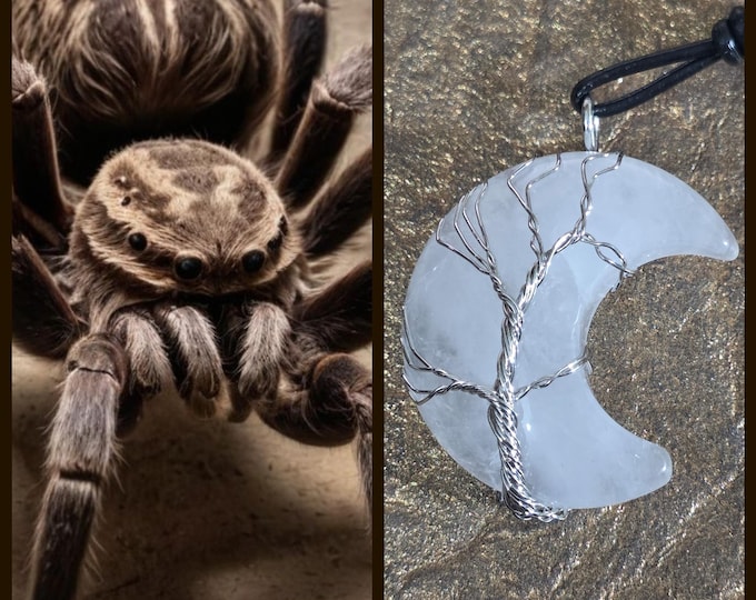 DCC EXCLUSIVE Giant Tarantula Living Entity Companion, Scottish Highlands "Ryrolloc" (rye-row-lock) Spirit Vessel Necklace, Tier 3