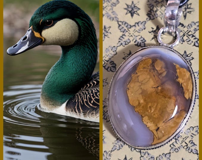 Mallard Duck "Limrep" Spirit Guide Companion, Spirit Vessel Necklace, Tier 1