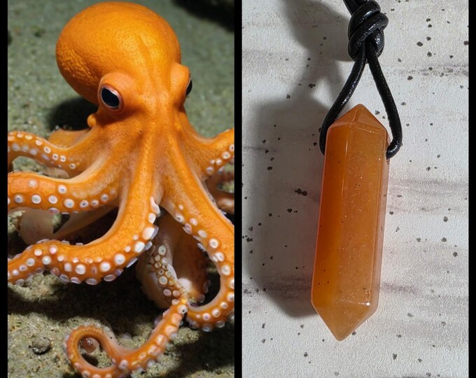 Octopus "Lomek" Spirit Companion, Spirit Vessel Necklace, Tier 1