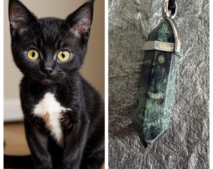 Tiny Kitten "Zormin" Spirit Companion, Spirit Vessel Necklace, Tier 1