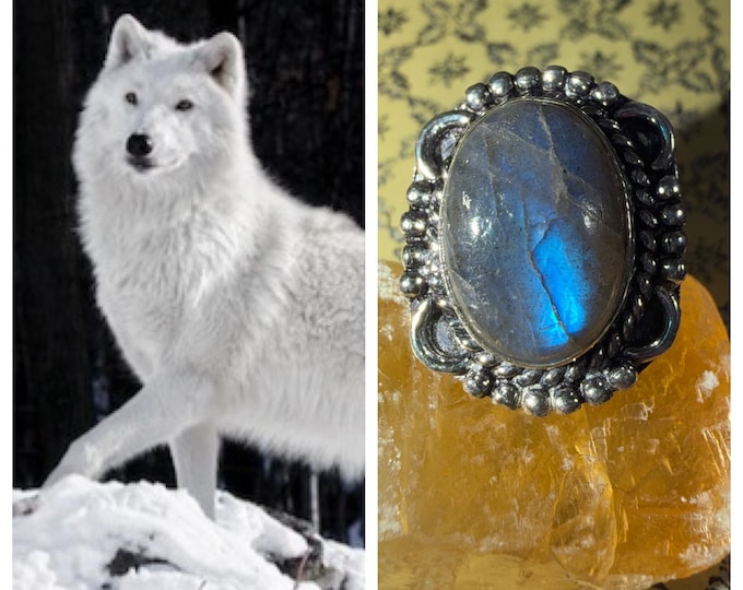 Female Arctic Wolf "Falza" Spirit Companion, Spirit Vessel Ring, Tier 2