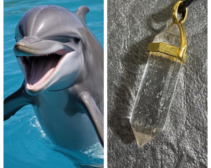 Dolphin "Lulep" Spirit Companion, Spirit Vessel Necklace, Tier 1