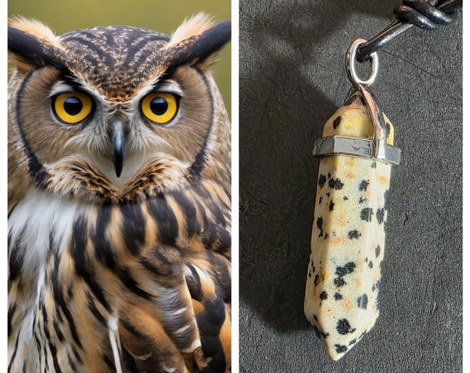Female Owl "Zoga" Spirit Companion, Spirit Vessel Necklace, Tier 1