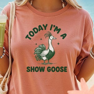 以下が含まれることがあります： テラコッタ色のTシャツ。テキスト「TODAY I'M A SHOW GOOSE」とガチョウのグラフィック。ガチョウは白と緑色です。Tシャツはクルーネックで半袖です。