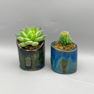 Handmade Ceramic Succulent Pot with Artificial Plant, by Kingates Pottery on the Isle of Wight