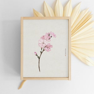 Cherryblossom, Korean painting, Flower, Botanical Wall Art, botanical print, Nature Prints, Oriental painting, Korea, Korean Art