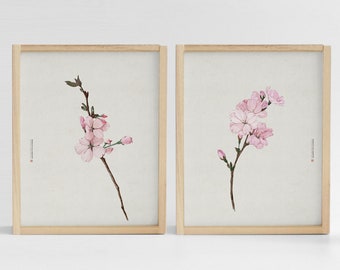 Set of 2 prints,  Cherry blossom, Korean Art, Korean painting, Flower, Botanical Wall Art, botanical print, Korean Decor, Oriental painting
