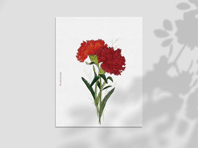 May include: A watercolor painting of two red carnations with green stems and leaves on a white background.