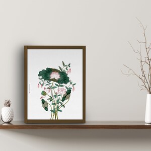 May include: A framed botanical print of a pink lotus flower with green leaves. The print is on a white background and has a brown frame.