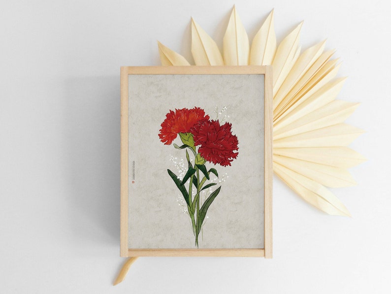 May include: A framed print of a botanical illustration featuring two red carnations with green stems and leaves on a light gray background.