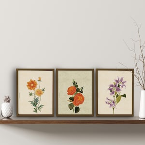 Set of 3 prints,  Korean Art, Korean painting, Flower, Botanical Wall Art, botanical print, Nature Prints, Korean Decor, Oriental painting