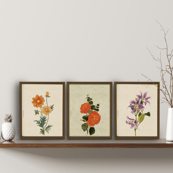 Set of 3 prints,  Korean Art, Korean painting, Flower, Botanical Wall Art, botanical print, Nature Prints, Korean Decor, Oriental painting