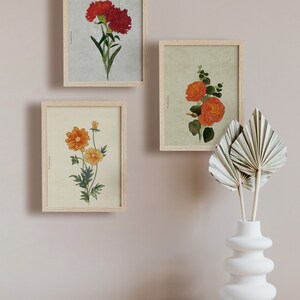 May include: Three framed botanical prints featuring different types of flowers. The prints are hung on a light beige wall. A white ceramic vase with a wavy design holds dried palm leaves.