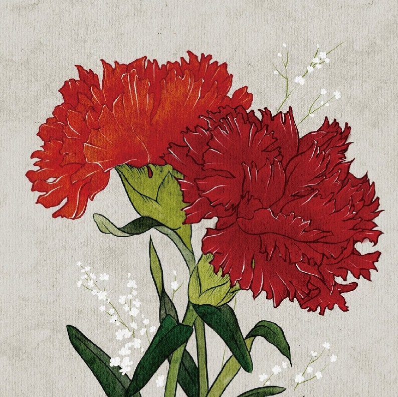 May include: Two red carnations with green stems and leaves on a light gray background.