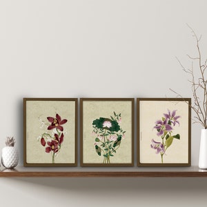 Set of 3 prints,  Korean Art, Korean painting, Flower, Botanical Wall Art, botanical print, Nature Prints, Korean Decor, Oriental painting