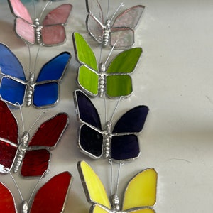 Pu&ograve; includere: Una collezione di farfalle in vetro colorato in vari colori, tra cui blu, verde, rosso, giallo e rosa. Le farfalle sono disposte in fila, con le ali spiegate.