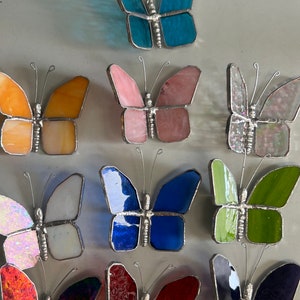 Pu&ograve; includere: Dodici ornamenti a forma di farfalla in vetro colorato, in vari colori, tra cui blu, rosa, arancio, bianco, verde, rosso e iridescente. Le farfalle sono tutte della stessa dimensione e forma, con una cornice in filo d'argento.