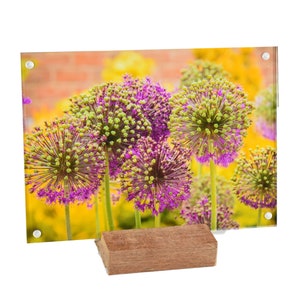 2 Pack Kramerica Acrylic 5X7 Clear Acrylic Picture Frames Reclaimed Oak Stand, Magnetic Picture Frames, Acrylic Photo Frames