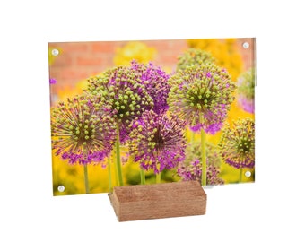 2 Pack Acrylic 5x7 Picture Frames: Reclaimed Oak Stand, Magnetic Closure