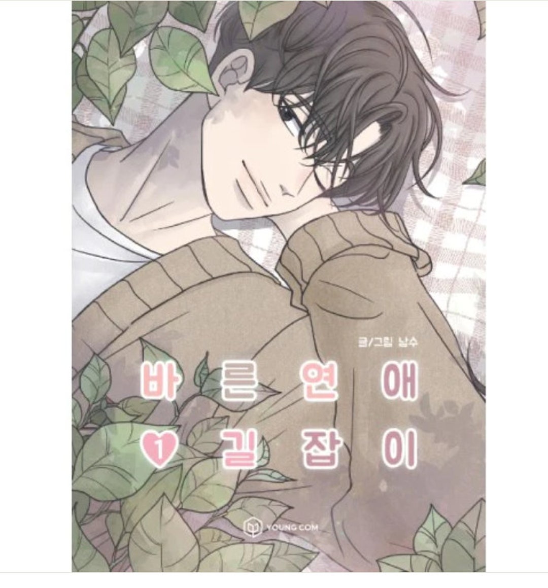 A Guide To Proper Dating A Guide to Proper Dating Romanze 101 Manhwa koreanisch - Etsy.de