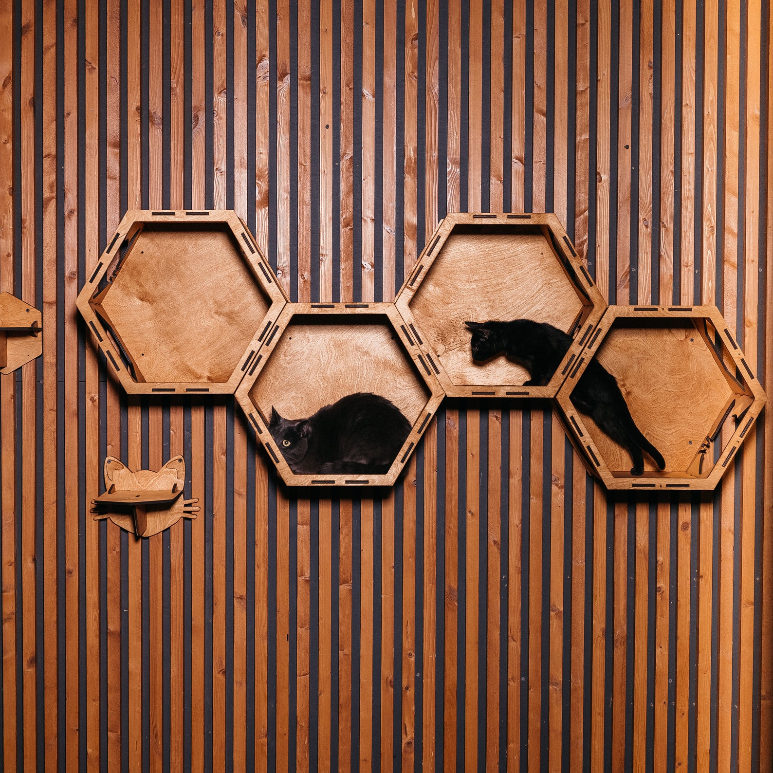 Wall Wooden Cat Furniture Cat Wall Bed Cat Gifts Cat Etsy