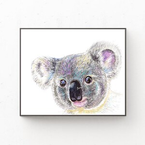 May include: A close-up drawing of a koala's face. The koala has a light gray fur with hints of purple and blue. The koala's eyes are large and black with a light blue iris. The koala's nose is black and the mouth is pink. The drawing is on a white background.