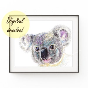 May include: A colorful pencil drawing of a koala bear with a white background. The koala has a light brown fur with hints of purple and blue. The koala's eyes are large and black with a light brown nose.