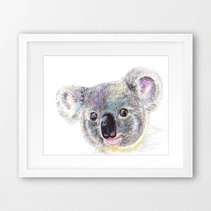 May include: A hand-drawn illustration of a koala bear with a light gray fur, black nose, and large brown eyes. The koala is looking directly at the viewer with a slight smile.