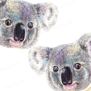 May include: Two close-up drawings of koala faces. The koalas have gray fur with hints of purple, blue, and yellow. Their noses are black, and their eyes are brown. The background is white.