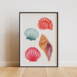 Pode incluir: Uma impressão de arte de parede emoldurada com uma ilustração em aguarela de quatro conchas num fundo claro. A coleção inclui uma concha em espiral vermelha brilhante, uma concha azul clara, uma concha rosa vibrante e uma concha bege.