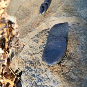 Op de afbeelding: Een donkergrijze, onregelmatig gevormde steen met een glad, licht gebogen oppervlak. De steen ligt op een ruwe, grijs-bruine rots.