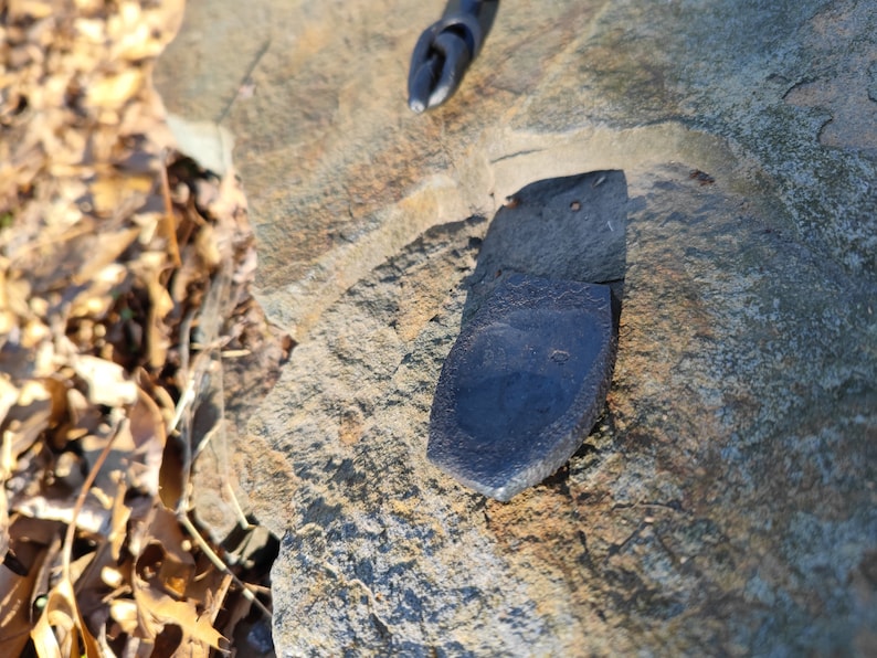 Op de afbeelding: Een donkergrijze, onregelmatig gevormde steen met een glad, licht gebogen oppervlak. De steen ligt op een ruwe, grijs-bruine rots.