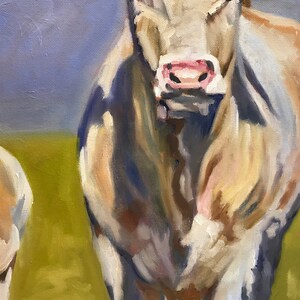May include: A close-up of a white cow with a pink nose. The cow is standing in a field with green grass.