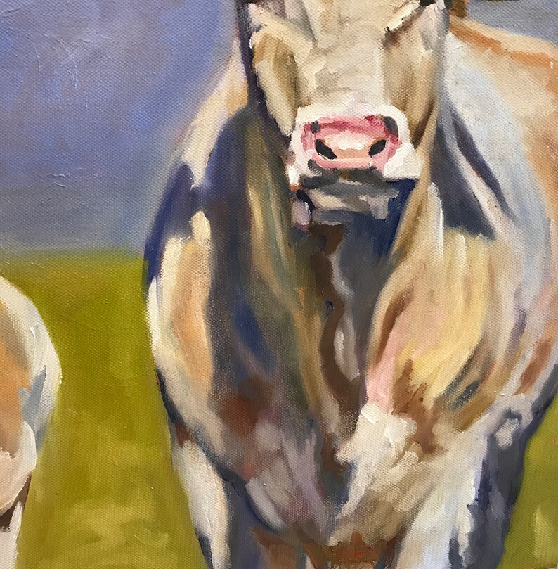 May include: A close-up of a white cow with a pink nose. The cow is standing in a field with green grass.