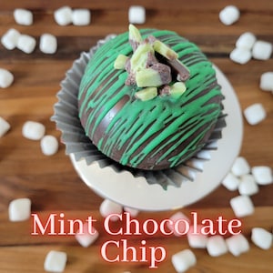Mint Chocolate Chip Hot Cocoa Bomb