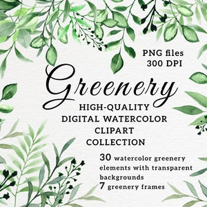 Greenery clipart watercolor, Floral greenery png, Leaves clipart watercolor, Foliage clipart, Floral clipart set, Greenery watercolor png