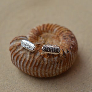 May include: A pair of silver textured bar earrings. The earrings are small and delicate, and they are shown on a brown background.