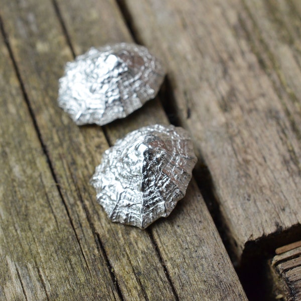 Silver limpet stud earrings