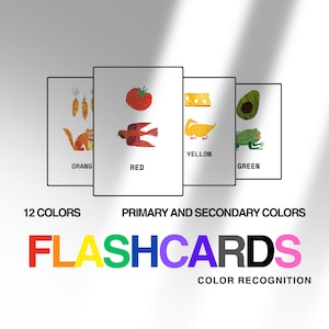 12 Flashcards Coloridos – Inspirado por Eric Carle | Livro de Atividades Pré-Escolares | Aprendizagem Montessori | Flashcards Educacionais para Crianças com Reconhecimento de Cores