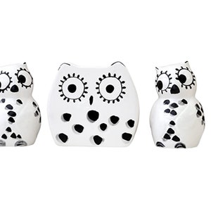 Tuscany Cute Black and White Owl, Ceramic Napkin Holder, Salt and Pepper Set
