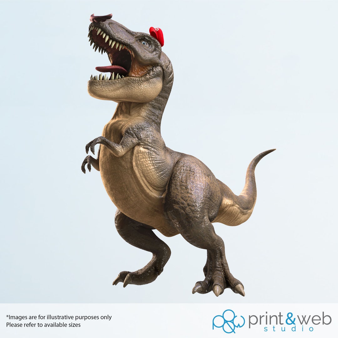 Super Mario Odyssey Wall Decal Sticker Bedroom Vinyl Kids Art Etsy