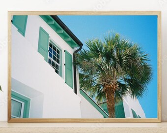 May include: A framed print featuring a tropical scene. The image showcases a white building with turquoise shutters and a palm tree against a bright blue sky. The print is displayed on a wooden shelf, with a potted plant in the foreground.
