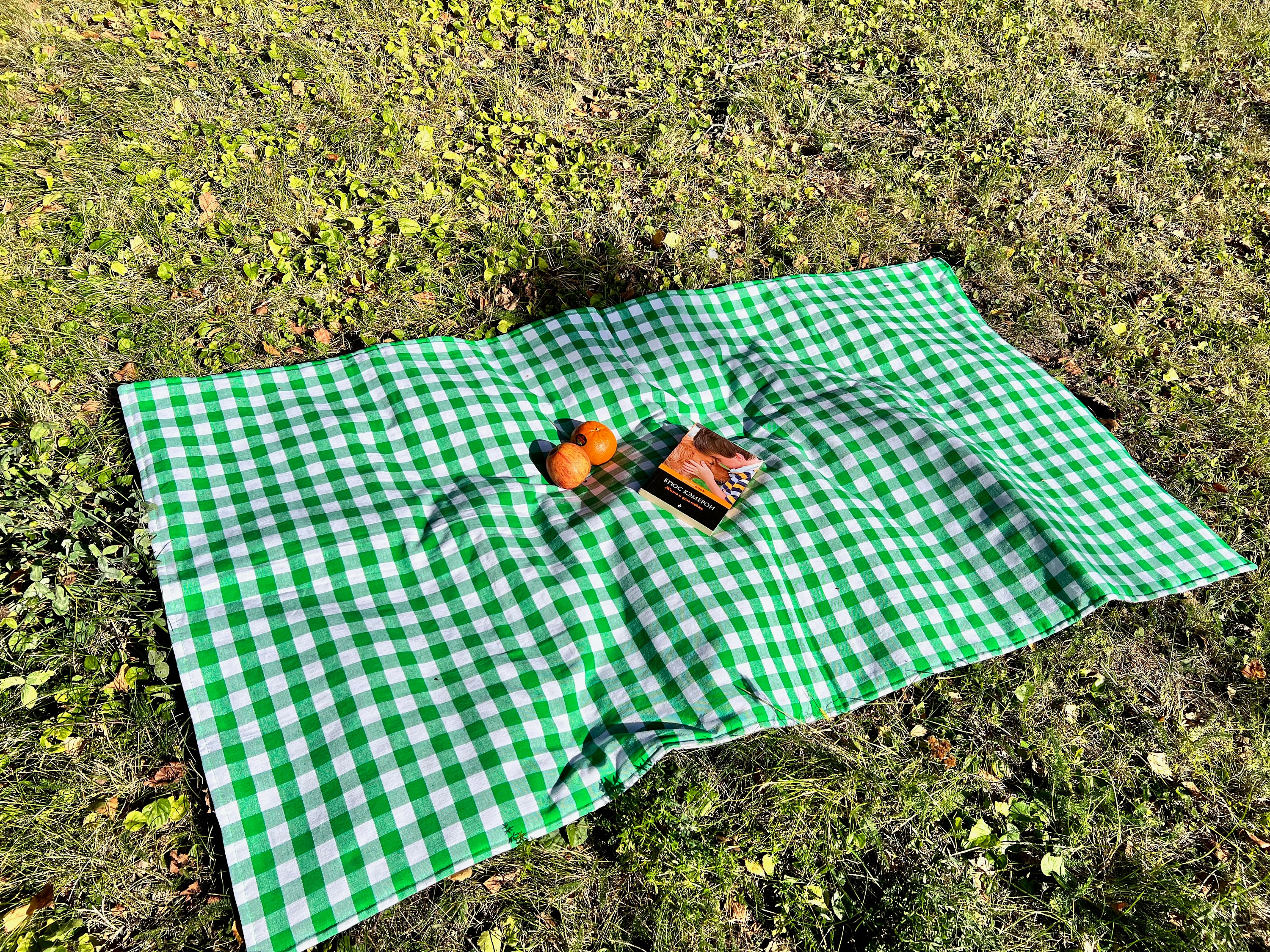  Manta de picnic impermeable con fondo de sandía, plegable para  exteriores, parque y playa, resistente al agua, manta de picnic portátil :  Patio, Césped y Jardín