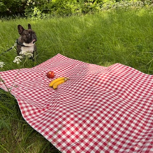 Colourful 2024 picnic blanket