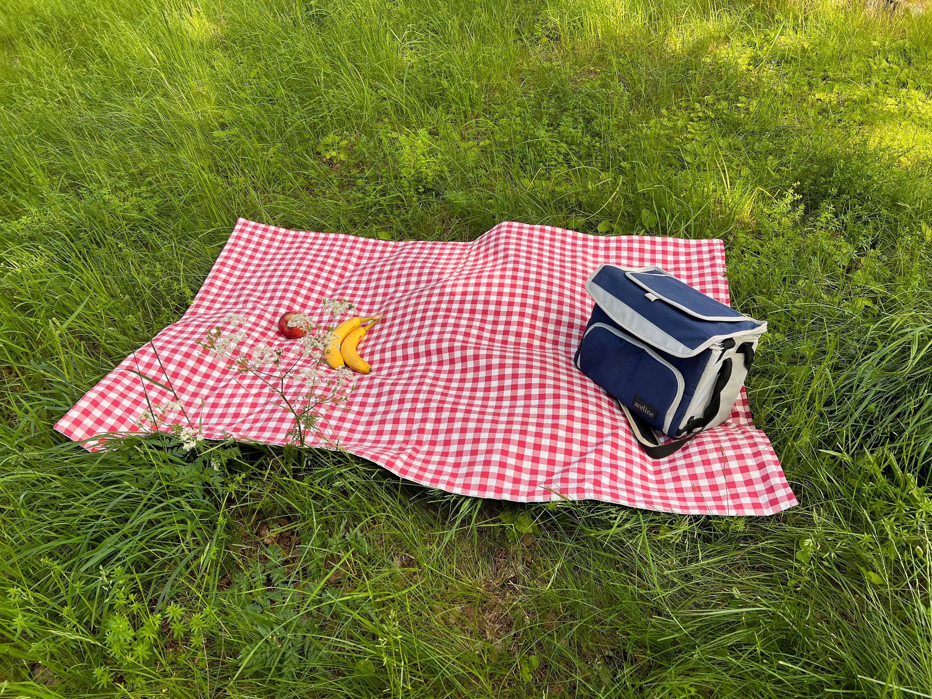  Niaocpwy Manta de picnic pequeña con cara de zorro de animal  para niños, tapete de playa a prueba de arena de 57 x 59 pulgadas y manta  de picnic impermeable al